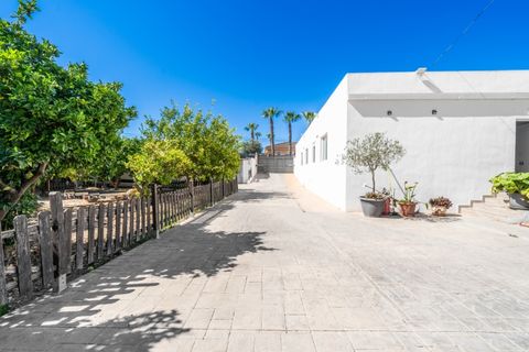 Villa a La Marina, Alicante, La Marina - € 625.000 | Ref: 5689OM - foto 41